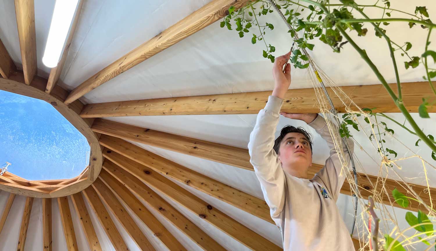 Children learning in a Montessori classroom